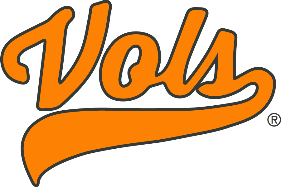 Tennessee Volunteers 2020-Pres Wordmark Logo v3 diy iron on heat transfer